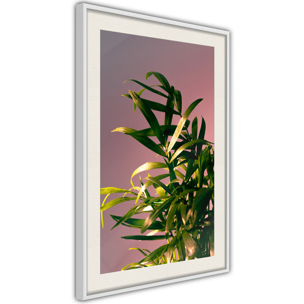 Poster - Against the Sunset  - wit passepartout