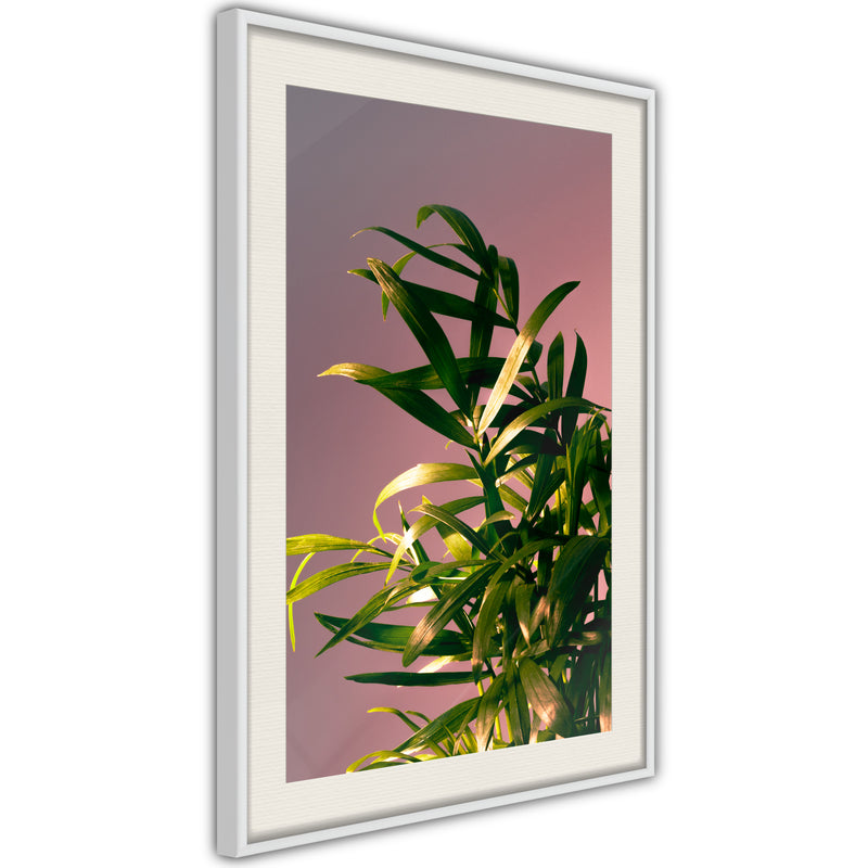 Poster - Against the Sunset  - wit passepartout