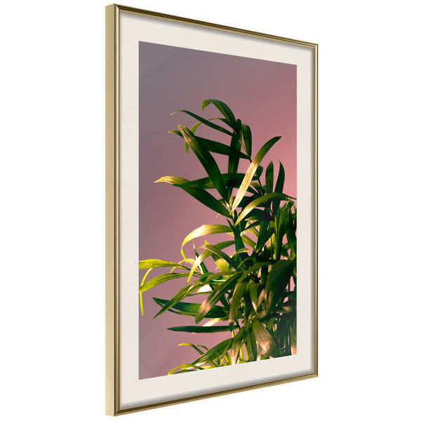 Poster - Against the Sunset  - goud passepartout