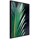 Poster - Soothing Green  - zwart