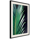Poster - Soothing Green  - zwart passepartout