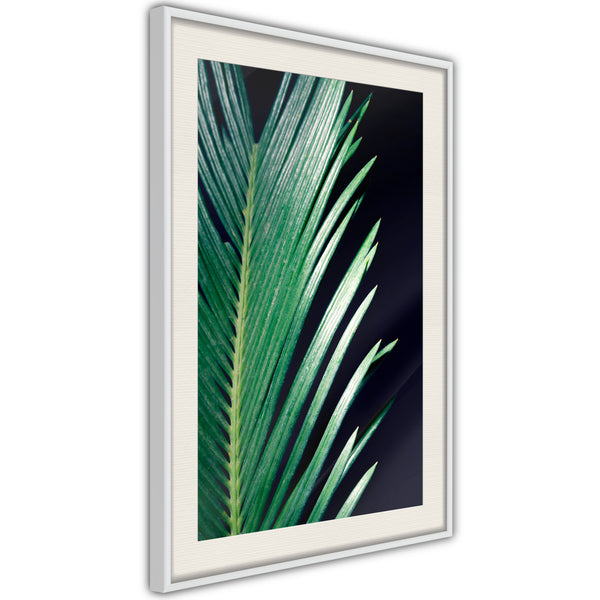 Poster - Soothing Green  - wit passepartout