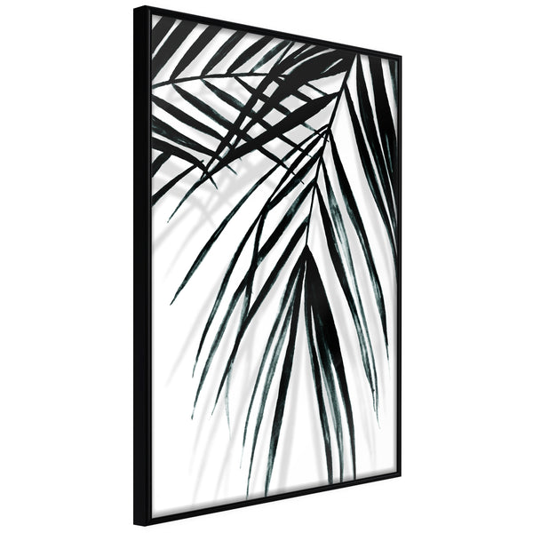 Poster - Leaf and Its Shadow  - zwart
