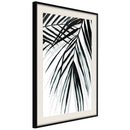 Poster - Leaf and Its Shadow  - zwart passepartout