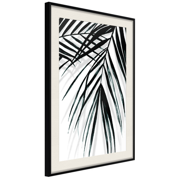 Poster - Leaf and Its Shadow  - zwart passepartout