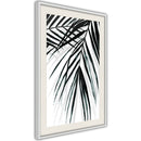 Poster - Leaf and Its Shadow  - wit passepartout