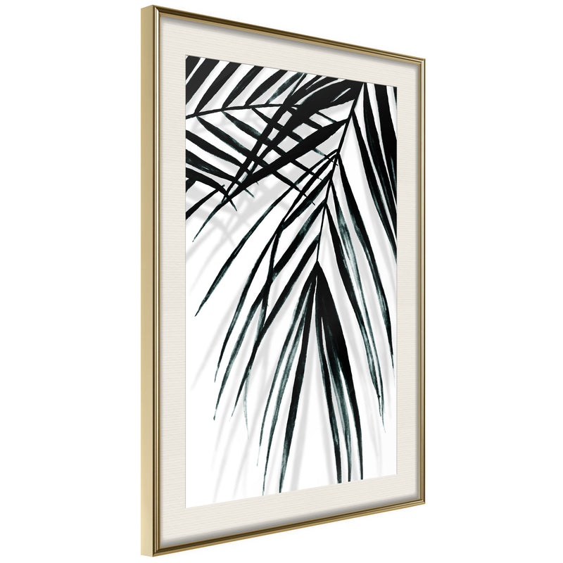 Poster - Leaf and Its Shadow  - goud passepartout