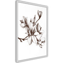 Poster - Fragrant Decoration  - wit
