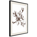 Poster - Fragrant Decoration  - zwart passepartout