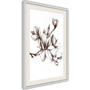 Poster - Fragrant Decoration  - wit passepartout