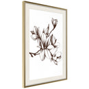 Poster - Fragrant Decoration  - goud passepartout