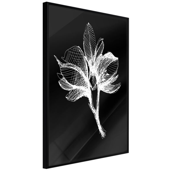 Poster - White Plant  - zwart