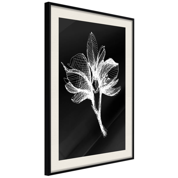Poster - White Plant  - zwart passepartout