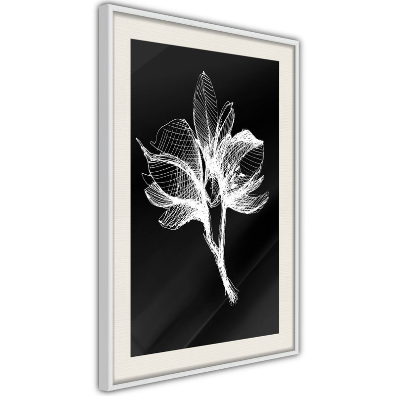 Poster - White Plant  - wit passepartout