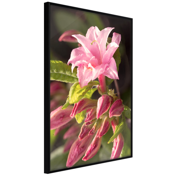 Poster - Garden's Centerpiece  - zwart