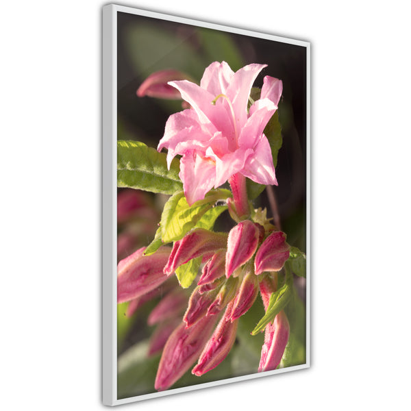 Poster - Garden's Centerpiece  - wit