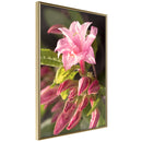 Poster - Garden's Centerpiece  - goud