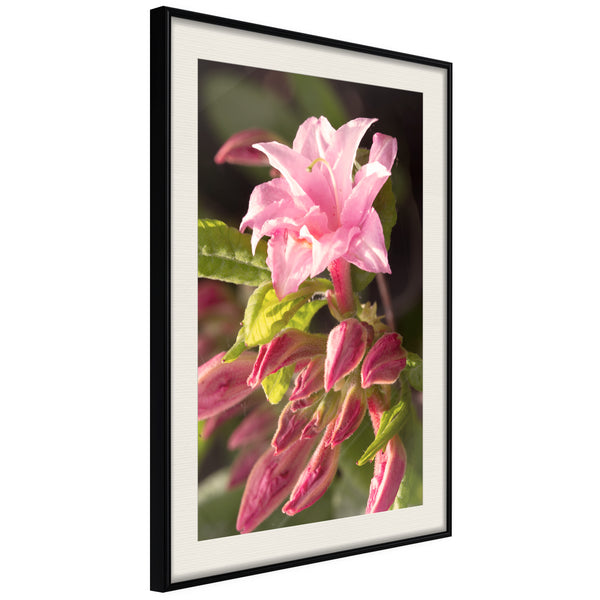 Poster - Garden's Centerpiece  - zwart passepartout