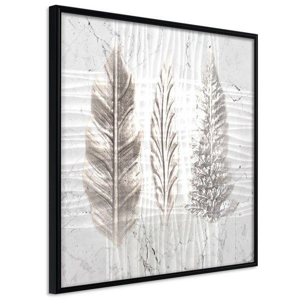 Poster - Three Species  - zwart