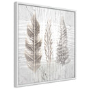 Poster - Three Species  - wit