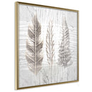 Poster - Three Species  - goud