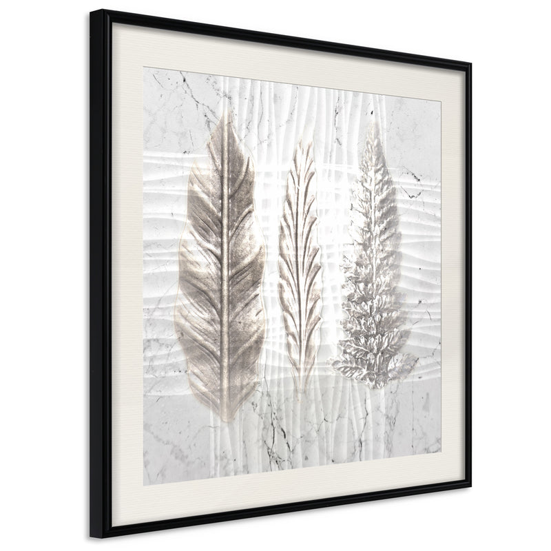 Poster - Three Species  - zwart passepartout