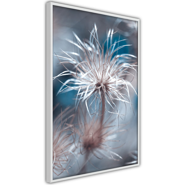 Poster - Like a Dandelion   - wit