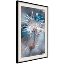 Poster - Like a Dandelion   - zwart passepartout