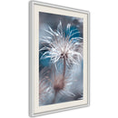 Poster - Like a Dandelion   - wit passepartout