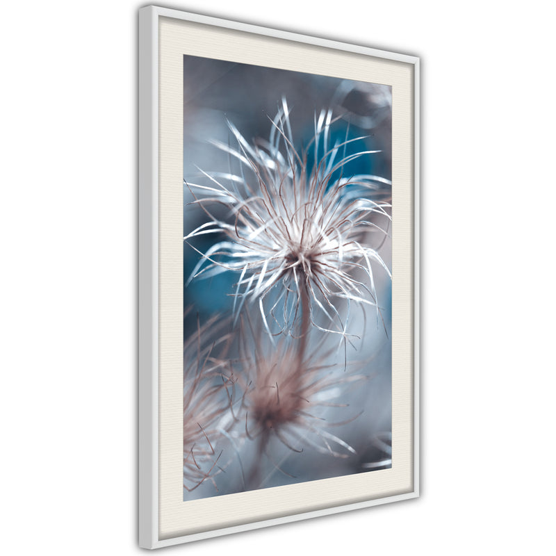 Poster - Like a Dandelion   - wit passepartout