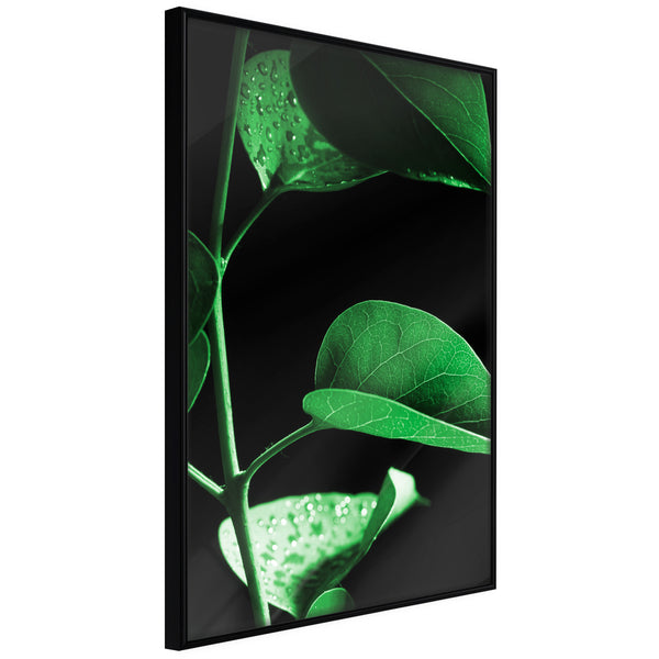 Poster - Calm After the Storm  - zwart