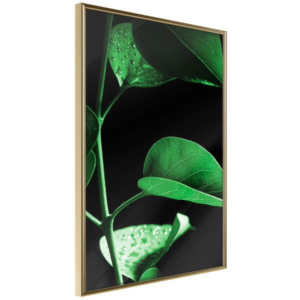 Poster - Calm After the Storm  - goud