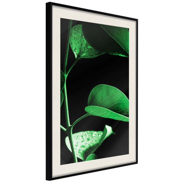 Poster - Calm After the Storm  - zwart passepartout