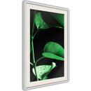 Poster - Calm After the Storm  - wit passepartout