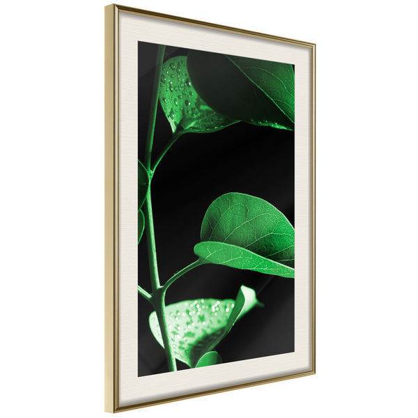 Poster - Calm After the Storm  - goud passepartout