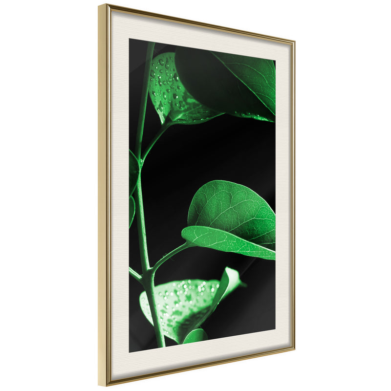 Poster - Calm After the Storm  - goud passepartout