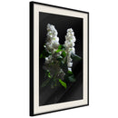 Poster - White Lilac  - zwart passepartout