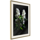 Poster - White Lilac  - goud passepartout