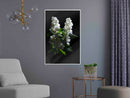 Poster - White Lilac  - wit