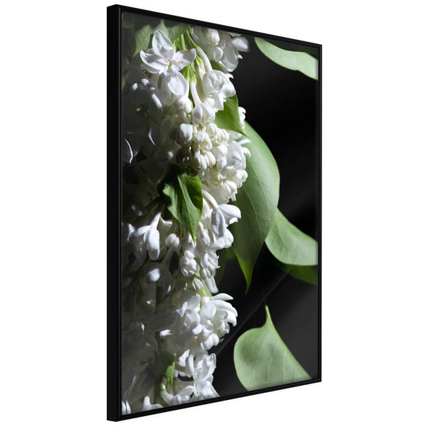 Poster - Fragrant Spring  - zwart