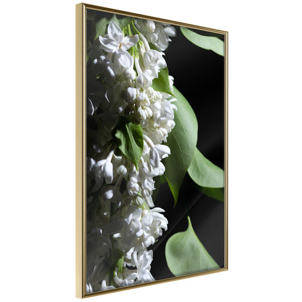 Poster - Fragrant Spring  - goud