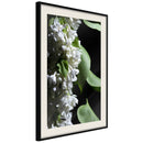 Poster - Fragrant Spring  - zwart passepartout