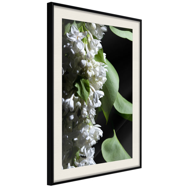 Poster - Fragrant Spring  - zwart passepartout