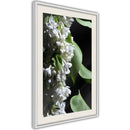 Poster - Fragrant Spring  - wit passepartout