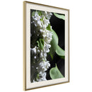 Poster - Fragrant Spring  - goud passepartout
