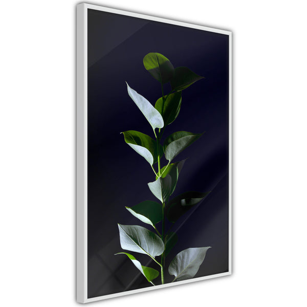 Poster - Floral Elegance  - wit