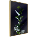 Poster - Floral Elegance  - goud