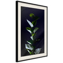 Poster - Floral Elegance  - zwart passepartout