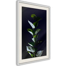 Poster - Floral Elegance  - wit passepartout