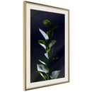 Poster - Floral Elegance  - goud passepartout